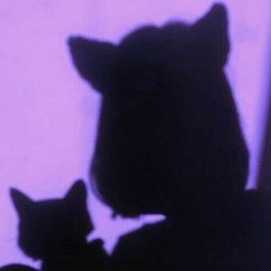 Meet your Posher, Pedro